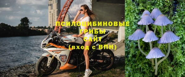 прущие крисы Чердынь