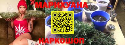 прущие крисы Обь