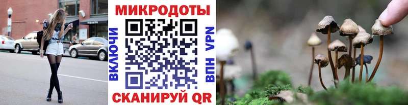 Псилоцибиновые грибы Cubensis Липецк