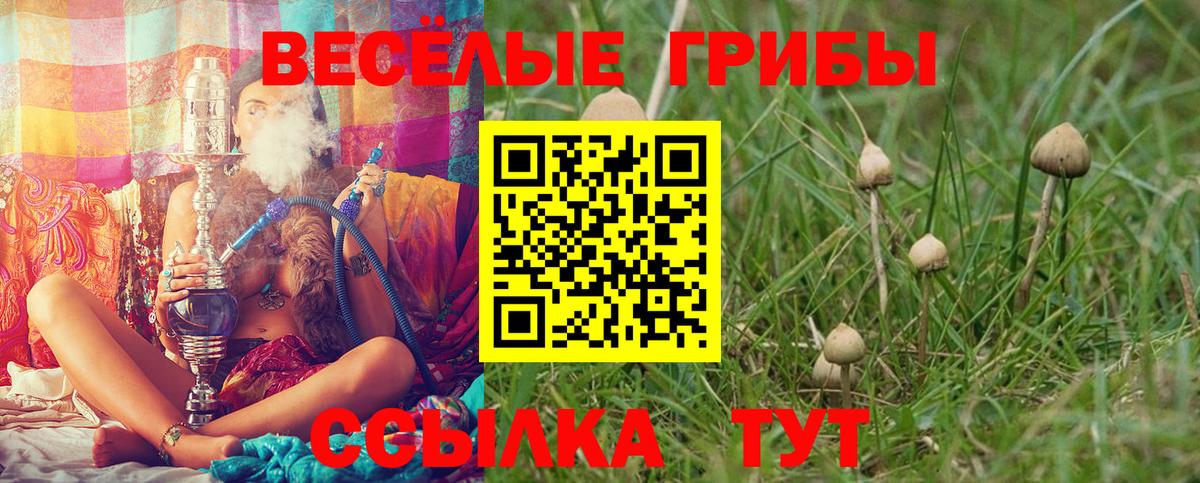 Галлюциногенные грибы мухоморы Липецк