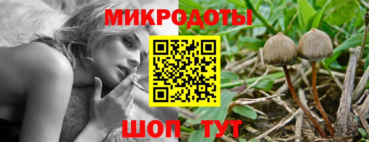 NBOMe Липецк